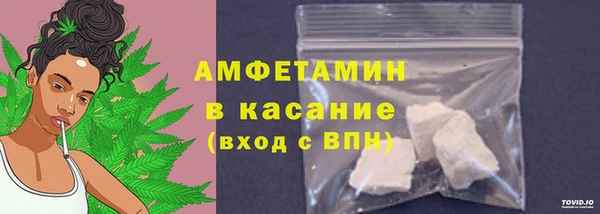 сатива Балахна