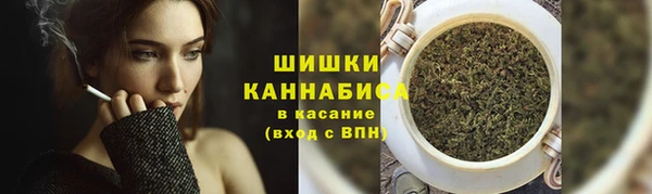 ГАЛЛЮЦИНОГЕННЫЕ ГРИБЫ Баксан