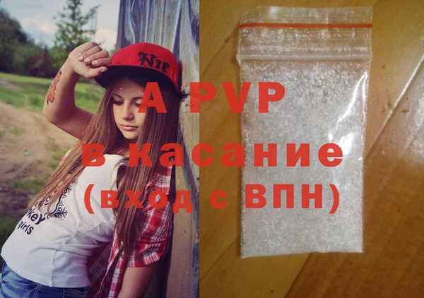 сатива Балахна