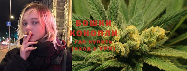 ГАЛЛЮЦИНОГЕННЫЕ ГРИБЫ Баксан