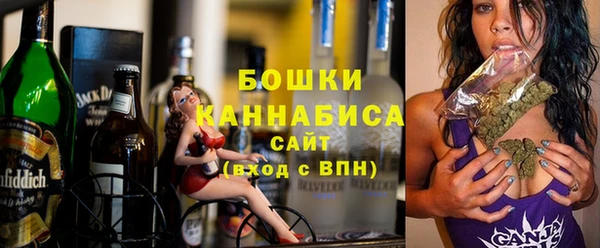 сатива Балахна