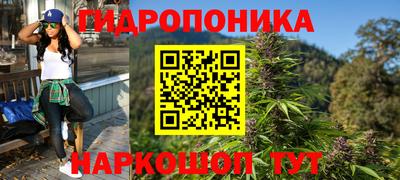 стаф Моздок