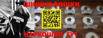 стаф Моздок