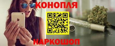 стаф Моздок