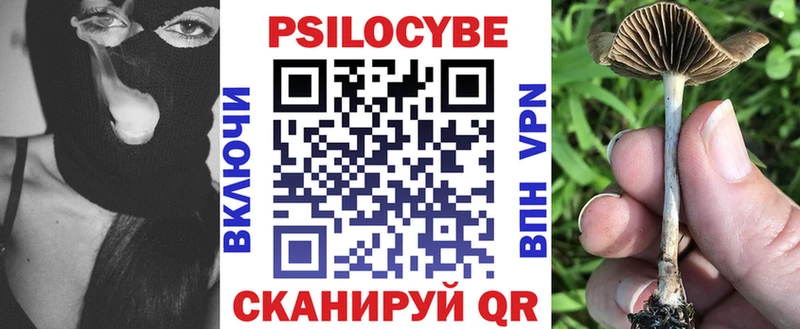 Галлюциногенные грибы Psilocybe  где купить   Зима 